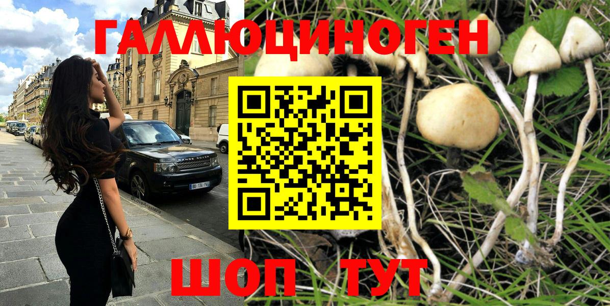 Псилоцибиновые грибы MAGIC MUSHROOMS  Галлюциногенные грибы MAGIC MUSHROOMS  наркота  Ростов-на-Дону  Вход с VPN 